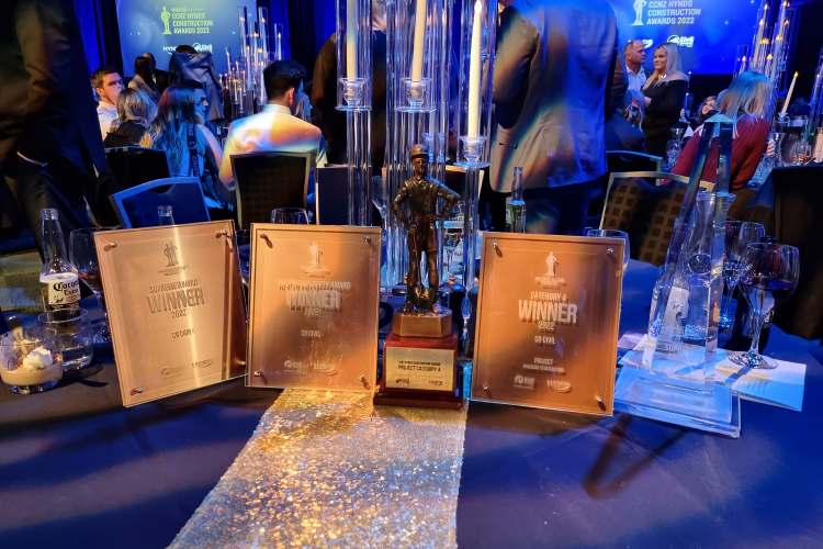 Peacocke Awards Trophies on Table remini enhanced